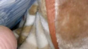 Χλωμή και σούπερ καυτή λεσβία KsuColt δαχτυλιδιασμένη και παίζοντας παχουλή μαλάκα